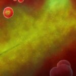 antibiotic-resistant bacteria!