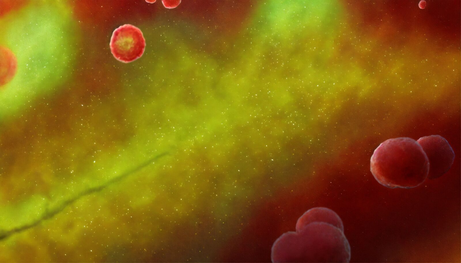 antibiotic-resistant bacteria!