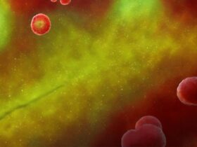 antibiotic-resistant bacteria!