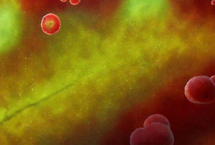 antibiotic-resistant bacteria!