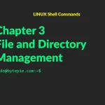 File and Directory Management
